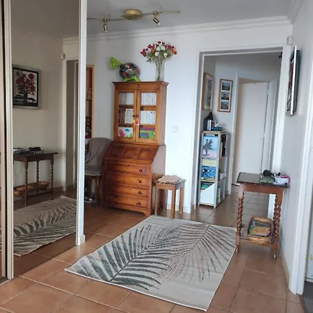 appartement Nice , jardin et mer